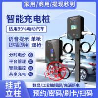 充电桩 电动汽车 家用商用 新能源充电桩 交流 单枪 双枪 7KW 32A